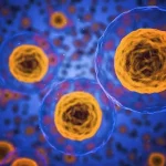 Die Rolle der Epigenetik in der Gesundheitsforschung