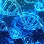 Psychosomatische Medizin - Wechselwirkungen von Körper und Seele